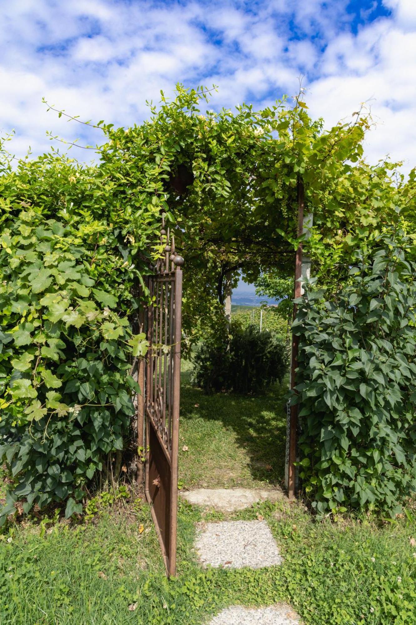 La Cantinella Country House La Morra Exterior photo